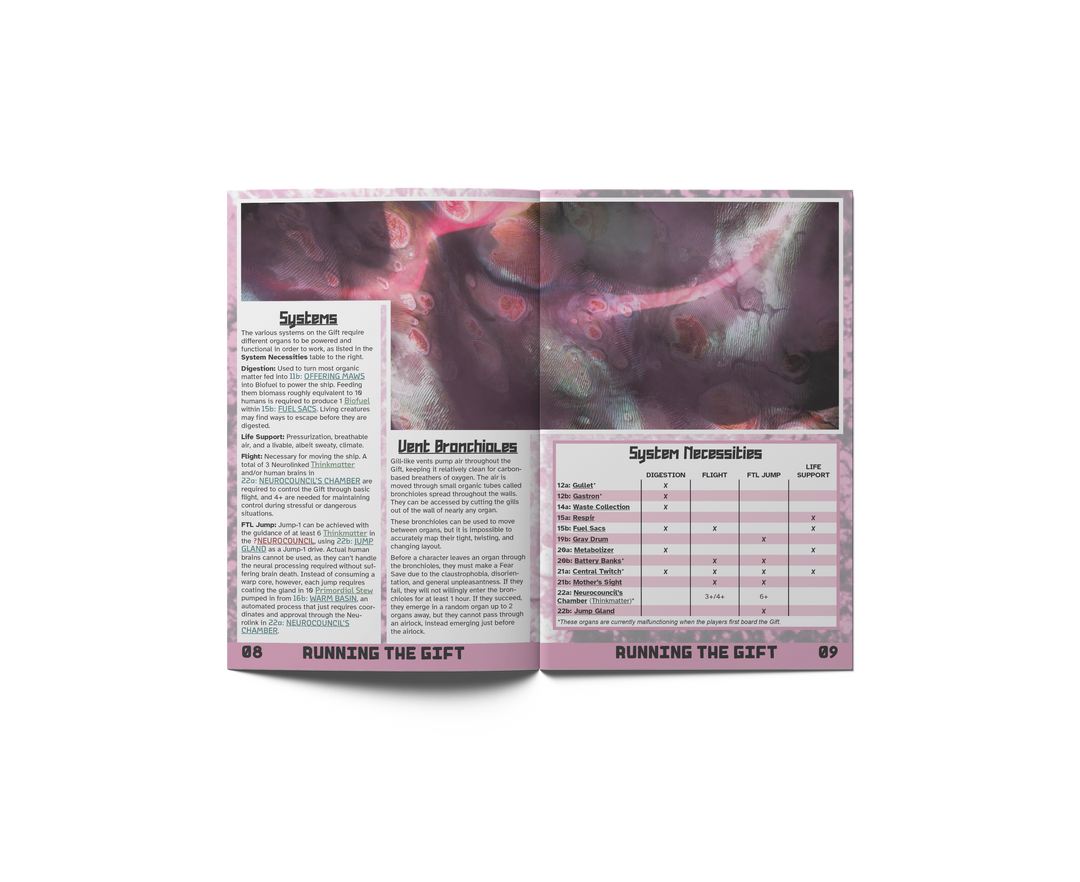 The Stone Flesh Gift